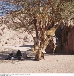 Mittlerer Sinai