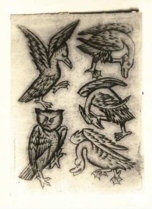 Spielkarte Vogel Fünf (Kartenblatt) : Spielkarte Vogel Fünf (Kartenblatt). Kupferstich (vor 1503; I. van Meckenem der Jüngere)
