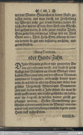Dens Caninus. oder Hunde-Zahn