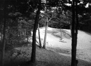 Kolberg, Düne : Kolberg (Kolobrzeg/Polen). Bewaldete Düne am Strand