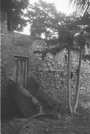 Altes Araberbad : Landschaft mit einer alten Mauerpforte und einem Baum.