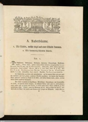 Text und Illustrationen