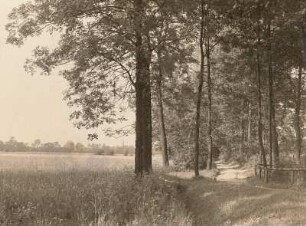 Jahnatal unterhalb Stauchitz. Blick gegen die Kirche Bloßwitz vom Feldweg Stauchitz - Bloßwitz