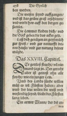 Das XXVIII. Capittel.