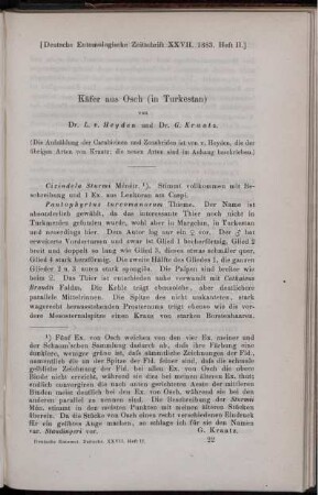 Käfer aus Osch (in Turkestan)