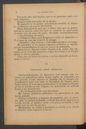 VI - Desgracia sobre desgracia