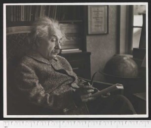 Porträtaufnahme Albert Einstein