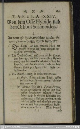 Tabula XXIV. Von dem Osse Hyoide und den Ossibus Sesamoideis
