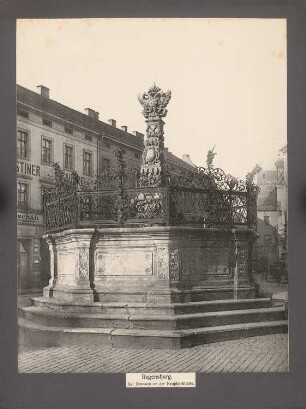 Brunnen an der Neupfarrkirche, Regensburg: Ansicht