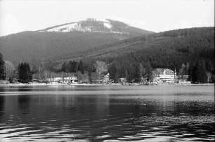 Titisee: Kurpark Titisee; Baum und Wiese vom See; See vom Hochfirst