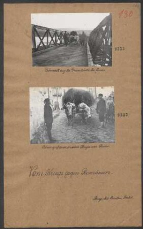 Ochsengespann in einer Straße von Svistov