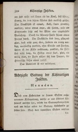 Achtzigste Gattung der Käferartigen Insekten. Hexodon.