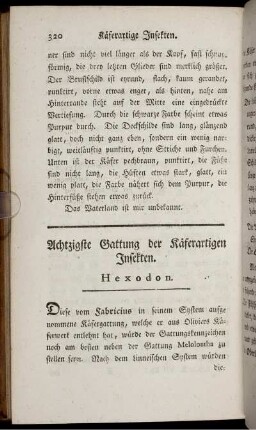 Achtzigste Gattung der Käferartigen Insekten. Hexodon.