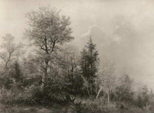 Eduard Leonhardi: Bäume im Herbst, 1890 : 1957 befand sich das Gemälde in Privatbesitz
