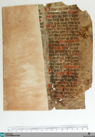 Aus einem Breviarium, Fragment - Cod. Aug. Fr. 58