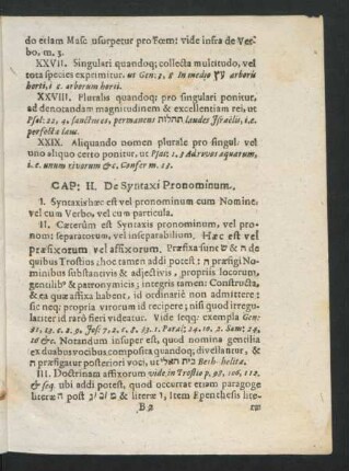 Cap. II. De Syntaxi Pronominum.