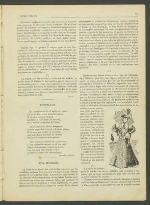 Vida mundana