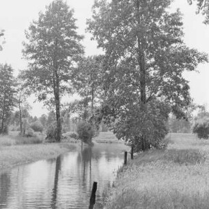 Landschaftsbild. Trotzkefließ in Leipe. : Wobraz krajiny. Groble w Lipjem.