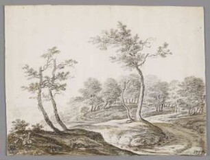 Hügelige Landschaft