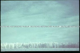Verschneite Winterlandschaft
