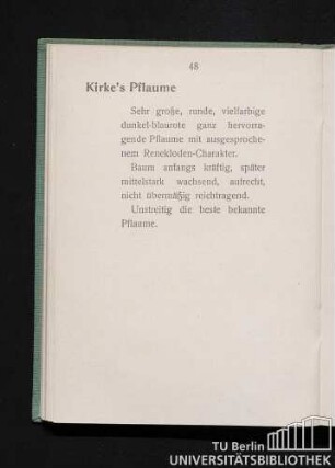 Kirke's Pflaume.