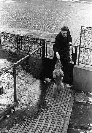 Bukarest: Pu und [Hund] Bobby, springt an der Haustür hoch