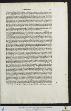 Incipit liber nonus…