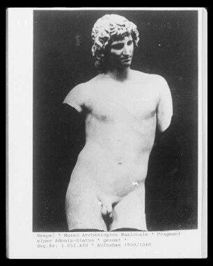 Fragment einer Adonis-Statue