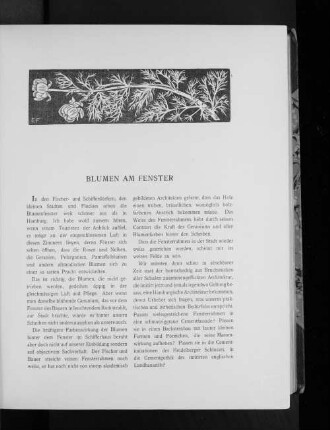 Blumen am Fenster