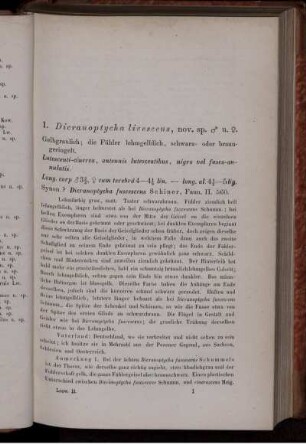 1. Dicranoptycha livescens, nov. sp. [bis] 36. Haematopota pallens, nov. sp.
