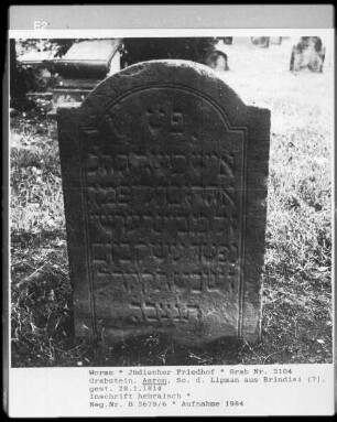 Grabstein des Aaron, Sohn des Lipman aus Brindisi? (gestorben 1814.01.28)