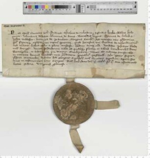 Die Lüneburger Ratsmannen bekunden, dass Nicolaus de Molendino dem Bürger Johannes Bertholdi 1 plaustrum Salz im Hause Bevinghe verkauft. [lat.]