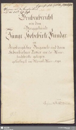 Grubenbericht von dem Berggebäude Junge Hohebirke Fundgr. in Freybergischer Bergamts und deren Hohenbirkner Revier an der Münzbachhütte gelegen - 17.6244 4.