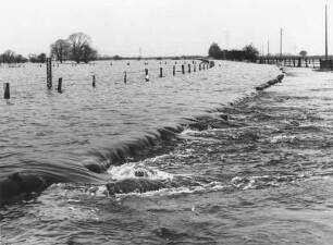 Allerhochwasser überflutet Halsebachniederung