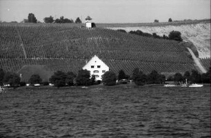 Meersburg: Weinberge am Bodensee (vom See aus)