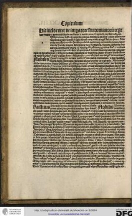 Capitulum xiii. Ait rusticus.