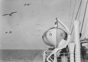 Rettungsboot : Blick vom Schiff auf das Meer, Möwen und ein Rettungsboot auf Deck