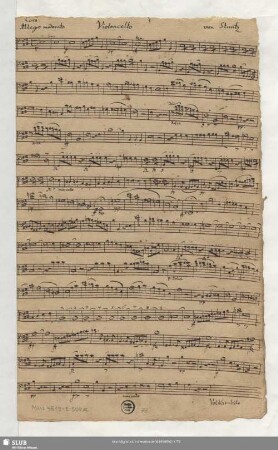 Violoncello