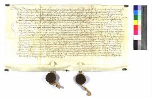 Erblehenrevers Hans Paules um des St. Klaren-Kloster zu Esslingen über Wiesen zu Pfauhausen