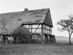 Schlegel