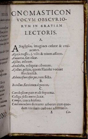 Onomasticon Vocum Obscuriorum In Gratiam Lectoris