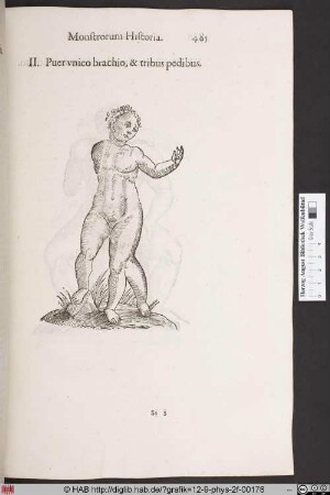 Puerunico brachio, & tribus pedibus.