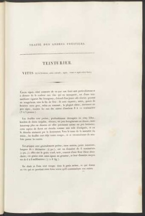 Teinturier. Vitis Tinctoria ...