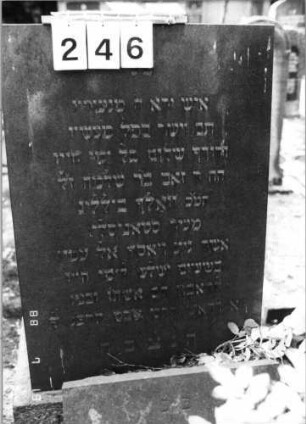 Grabstein 246 (Index: 100094474) Material: Granit Zustand: gut Maße HxBxT: 145x70x43 cm Beschreibung: rechteckige Stele, Sockel, davor:rechteckige angelehnte Platte: Grabstein 246
