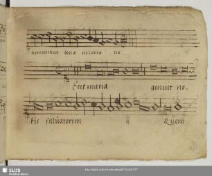 [Anonymus:] Ecce Maria genuit