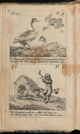 G. g. Die Gans geht freilich schlecht: [...].
