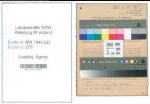 Entnazifizierung Agnes Loesing , geb. 05.03.1889 (Lehrerin)