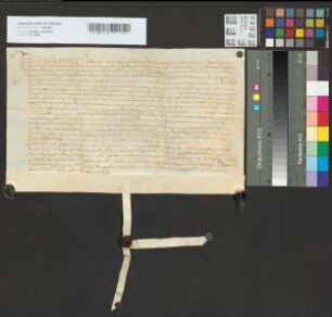 Revers des Zöllners zu Rheinberg Jakob Herckenbusch.