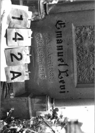 Grabstein 142 (neu: 805): Grabstein 142A (neu: 805)