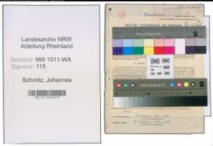 Entnazifizierung Johannes Schmitz , geb. 20.05.1901 ()